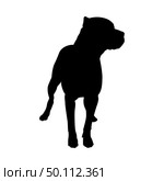 Pit Bull Terrier Dog Silhouette. Smooth Vector Illustration. Стоковая иллюстрация, агентство Ingram Publishing / Фотобанк Лори