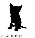 Chinese Crested Dog Silhouette. Smooth Vector Illustration. Стоковая иллюстрация, агентство Ingram Publishing / Фотобанк Лори