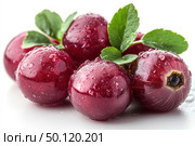 A close-up of juicy redcurrants with water droplets on the surface, neatly laid out on a white background. The surface of the berries is shiny, with realistic details, the leaves add brightness and freshness. However, upon closer inspection, it is clear that these are not exactly berries, but a creative hybrid of berries and bulbs - berries in appearance, but the structure of the base and texture resemble an onion. The unusual combination evokes surprise and interest, ideal for conceptual projects, advertising campaigns related to creativity, healthy eating, fusion cuisine or packaging design. Стоковое AI-изображение, AI-художник Анна Кривицкая / Фотобанк Лори