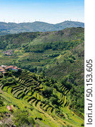 Viewpoint of the Terraces (Miradouro dos Socalcos), overlooking the Agricultural terraces (famous Tibete style landscape view), Porta Cova place, Sistelo, Arcos de Valdevez, Portugal. Стоковое фото, агентство Ingram Publishing / Фотобанк Лори