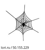Halloween black spider with nets. Vector illustration. Стоковая иллюстрация, агентство Ingram Publishing / Фотобанк Лори