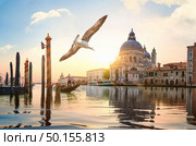 Ride on gondolas along the Grand Canal in Venice, Italy. Стоковое фото, агентство Ingram Publishing / Фотобанк Лори