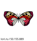 Butterfly Icon. Colored Design. EPS 10 vector illustration. Стоковая иллюстрация, агентство Ingram Publishing / Фотобанк Лори