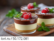 Delicious dessert cups featuring layers of creamy custard, chocolate ganache, and fresh raspberries, garnished with mint leaves, creating an appealing and indulgent treat. Стоковое AI-изображение, AI-художник Ирина Ручушкина / Фотобанк Лори