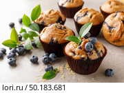 Blueberry muffins with fresh berries. Стоковое фото, агентство Ingram Publishing / Фотобанк Лори