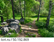 Arboretum of the Botanical Garden. Стоковое фото, фотограф ArhSib / Фотобанк Лори