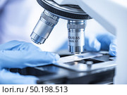  Researchers working with microscopes Wearing blue gloves. Стоковое фото, агентство Ingram Publishing / Фотобанк Лори