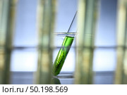 algae research in laboratories, biotechnology science concept. Стоковое фото, агентство Ingram Publishing / Фотобанк Лори