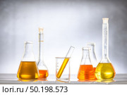 Biofuel from corn, oil and biofuel solution. Стоковое фото, агентство Ingram Publishing / Фотобанк Лори