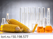Biofuel or Corn Syrup, gasoline, energy, environmentalist. Стоковое фото, агентство Ingram Publishing / Фотобанк Лори