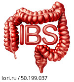 IBS medical concept as painful digestionor irritable bowel syndrome and intestine pain or Intestinal discomfort inflammation problem or constipation with 3D illustration elements. Стоковое фото, агентство Ingram Publishing / Фотобанк Лори