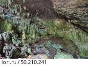 Пещера Сатурно, республика Куба, провинция Матансас. Стоковое фото, фотограф Игорь Долгов / Фотобанк Лори