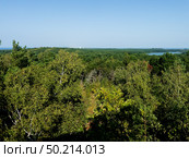 He Courish Split or Curonian Spit, Kaliningrad region, Russia (2024 год). Редакционное фото, фотограф Татьяна Кахилл / Фотобанк Лори