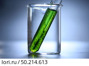 algae research in laboratories, biotechnology science concept. Стоковое фото, агентство Ingram Publishing / Фотобанк Лори