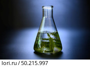 algae research in laboratories, biotechnology science concept. Стоковое фото, агентство Ingram Publishing / Фотобанк Лори