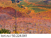 Aerial view of red leaf autumn fall season for Forest wodland From Hakkoda Mountain with Hakkoda Ropeway in Aomori Tohoku Japan. Стоковое фото, агентство Ingram Publishing / Фотобанк Лори