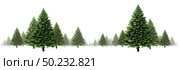 Evergreen tree and pine tree horizontal winter border design with a group of green Christmas trees on a white background as a festive forest element for the holiday season including New Year as a 3D illustration.. Стоковое фото, агентство Ingram Publishing / Фотобанк Лори