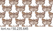 Brown moths butterflies pattern watercolor. Стоковая иллюстрация, иллюстратор Андрей Золотарев / Фотобанк Лори