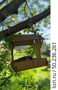 Vertical video of sparrows pecking crumbs from a wooden bird feeder on a tree on a summer day. The sound of birds chirping. Стоковое видео, видеограф Виктория Катьянова / Фотобанк Лори