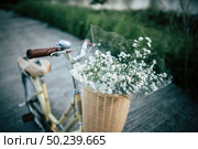 Vintage bicycle with basket and flowers in the par. Стоковое фото, агентство Ingram Publishing / Фотобанк Лори
