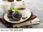 Chocolate muffins with fresh blueberry and cofee cup for breakfast. Стоковое фото, агентство Ingram Publishing / Фотобанк Лори