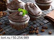 Coffee chocolate muffins for breakfast. Стоковое фото, агентство Ingram Publishing / Фотобанк Лори