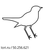 Nightingale Luscinia Bird silhouette icon outline black color vector illustration flat style simple image. Nightingale Luscinia Bird silhouette icon outline black color vector illustration flat style image. Стоковая иллюстрация, агентство Ingram Publishing / Фотобанк Лори