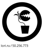 Carnivorous plant Flytrap Monster with teeths in pot icon in circle round black color vector illustration flat style simple image. Carnivorous plant Flytrap Monster with teeths in pot icon in circle round black color vector illustration flat style image. Стоковая иллюстрация, агентство Ingram Publishing / Фотобанк Лори