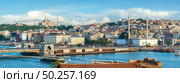 View of Istanbul city with the view on Golden horn bay. View of Istanbul. Стоковое фото, агентство Ingram Publishing / Фотобанк Лори