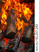 Close-up view of burning firewood in the fireplace with copy space. Can be used for your creativity.. Burning wood in open fire place. Close up background. Стоковое фото, агентство Ingram Publishing / Фотобанк Лори