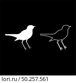 Nightingale Luscinia Bird silhouette icon outline set white color vector illustration flat style simple image. Nightingale Luscinia Bird silhouette icon outline set white color vector illustration flat style image. Стоковая иллюстрация, агентство Ingram Publishing / Фотобанк Лори