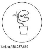Carnivorous plant Flytrap Monster with teeths in pot icon in circle round outline black color vector illustration flat style simple image. Carnivorous plant Flytrap Monster with teeths in pot icon in circle round outline black color vector illustration flat style image. Стоковая иллюстрация, агентство Ingram Publishing / Фотобанк Лори