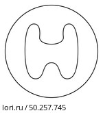 Thyroid gland Goiter Human organ Anatomy of people icon in circle round outline black color vector illustration flat style simple image. Thyroid gland Goiter Human organ Anatomy of people icon in circle round outline black color vector illustration flat style image. Стоковая иллюстрация, агентство Ingram Publishing / Фотобанк Лори