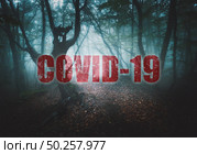 Pandemic of coronavirus. Covid-19 and background with spooky dark forest in fog. Dangerous deadly epidemic of nCoV and scary poster with old foggy trees in fall. Nature and red text. Horror landscape. Стоковое фото, агентство Ingram Publishing / Фотобанк Лори