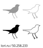 Nightingale Luscinia Bird silhouette icon outline set black grey color vector illustration flat style simple image. Nightingale Luscinia Bird silhouette icon outline set black grey color vector illustration flat style image. Стоковая иллюстрация, агентство Ingram Publishing / Фотобанк Лори