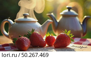 A macro shot of dew-covered strawberries next to a handwritten breakfast menu. Steam rises from teapot spout on open air alfresco background sunny summer day. Стоковое AI-видео, аниматор Sergey Grishin / Фотобанк Лори