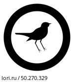Nightingale Luscinia Bird silhouette icon in circle round black color vector illustration flat style simple image. Nightingale Luscinia Bird silhouette icon in circle round black color vector illustration flat style image. Стоковая иллюстрация, агентство Ingram Publishing / Фотобанк Лори