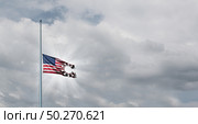 US coronavirus loss and  American deadly virus tragedy as a Half mast United States flag concept torn into the shape of a virus cell to honor respect the fallen heros background with 3D illustration elements. Стоковое фото, агентство Ingram Publishing / Фотобанк Лори