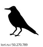 Black Crow Over White Background for Creating Halloween Designs.  Vector illustration. Стоковая иллюстрация, агентство Ingram Publishing / Фотобанк Лори