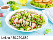 Fresh vegetable salad with radish, cucumbers, lettuce, dill and green onion. Стоковое фото, агентство Ingram Publishing / Фотобанк Лори