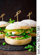 Hamburger with homemade ciabatta bun bread, boiled egg, radish, cucumber, lettuce salad and puree of fresh green peas. Стоковое фото, агентство Ingram Publishing / Фотобанк Лори