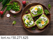 Sandwiches with wholemeal bread, hummus or puree of fresh green peas, radish, cucumber, boiled egg, green onion and chard. Стоковое фото, агентство Ingram Publishing / Фотобанк Лори