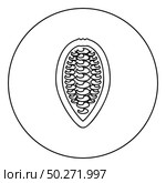 Cacao bob beans Cocoa fruit Chocolate seeds icon in circle round outline black color vector illustration flat style simple image. Cacao bob beans Cocoa fruit Chocolate seeds icon in circle round outline black color vector illustration flat style image. Стоковая иллюстрация, агентство Ingram Publishing / Фотобанк Лори
