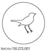 Nightingale Luscinia Bird silhouette icon in circle round outline black color vector illustration flat style simple image. Nightingale Luscinia Bird silhouette icon in circle round outline black color vector illustration flat style image. Стоковая иллюстрация, агентство Ingram Publishing / Фотобанк Лори