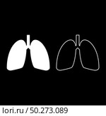 Lungs human icon outline set white color vector illustration flat style simple image. Lungs human icon outline set white color vector illustration flat style image. Стоковая иллюстрация, агентство Ingram Publishing / Фотобанк Лори