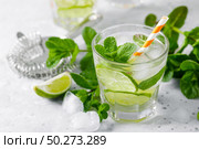 Refreshing summer alcoholic cocktail mojito with ice, fresh mint and lime. Стоковое фото, агентство Ingram Publishing / Фотобанк Лори