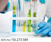 Researcher conducting plant growth experiments in a laboratory with colorful test tubes filled with liquids. Стоковое фото, фотограф Климов Денис / Фотобанк Лори