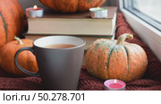 Cozy Hygge scene with sweater and candles. Orange pumpkins and cup of tea ore coffee. Halloween concept, cozy home, aromatherapy. Стоковое видео, видеограф Марина Демидюк / Фотобанк Лори