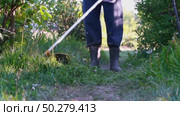 Man with grass trimmer mowing lawn in garden plot. Стоковое видео, видеограф Igor Skripachev / Фотобанк Лори