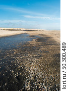 Sediment transposition intervention to the Atlantic Ocean to optimize the hydrodynamic balance in Ovar, Portugal. Стоковое фото, агентство Ingram Publishing / Фотобанк Лори